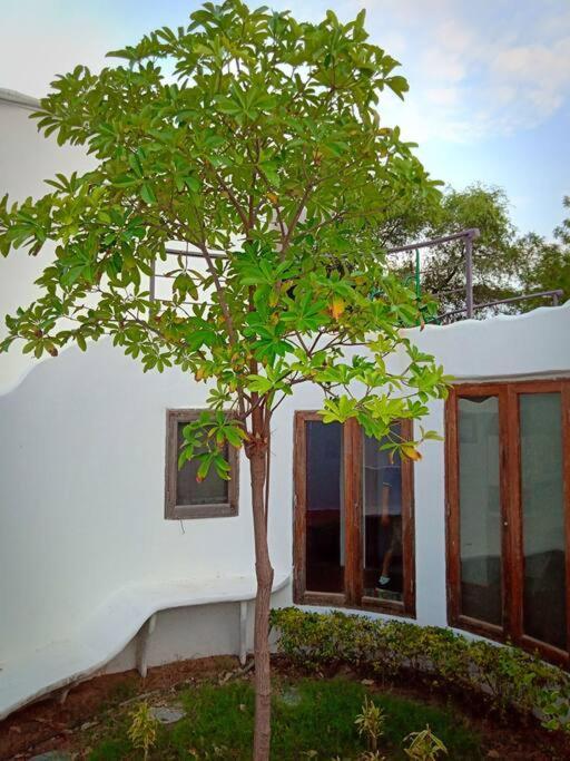 Mamta'S Home- Kensville Nānodra Exterior foto
