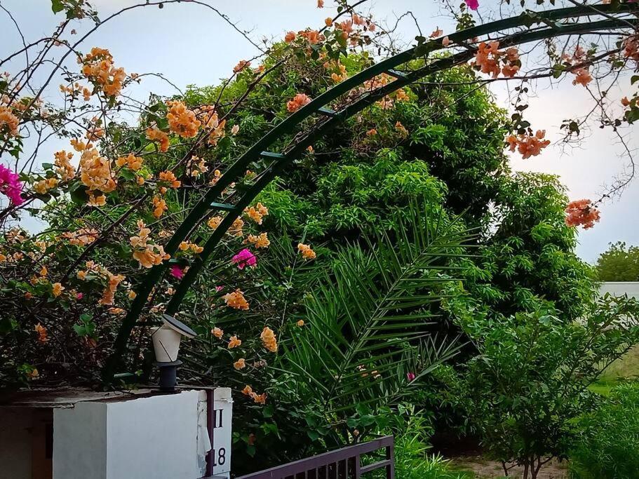 Mamta'S Home- Kensville Nānodra Exterior foto
